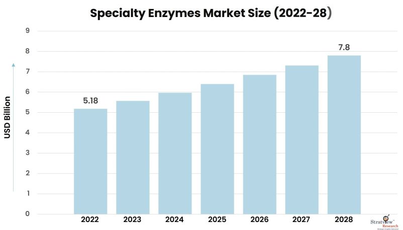 Spacialty-Enzymes-Market-Insights
